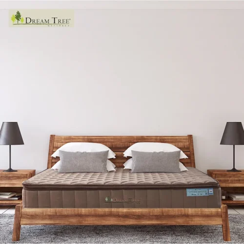 Dream Tree ที่นอนรุ่น Lucky Dream