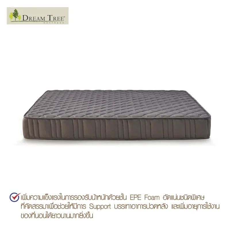 Dream Tree ที่นอนรุ่น My Dream