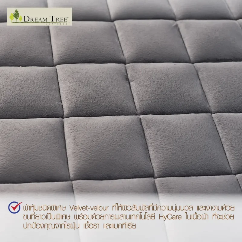 Dream Tree ที่นอนรุ่น My Dream