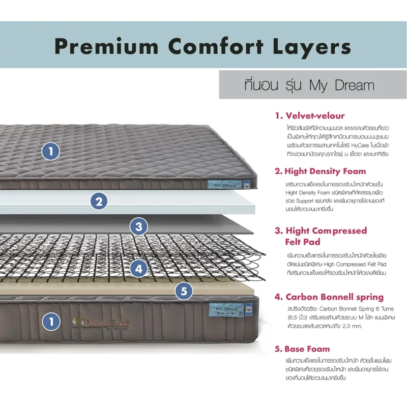 Dream Tree ที่นอนรุ่น My Dream